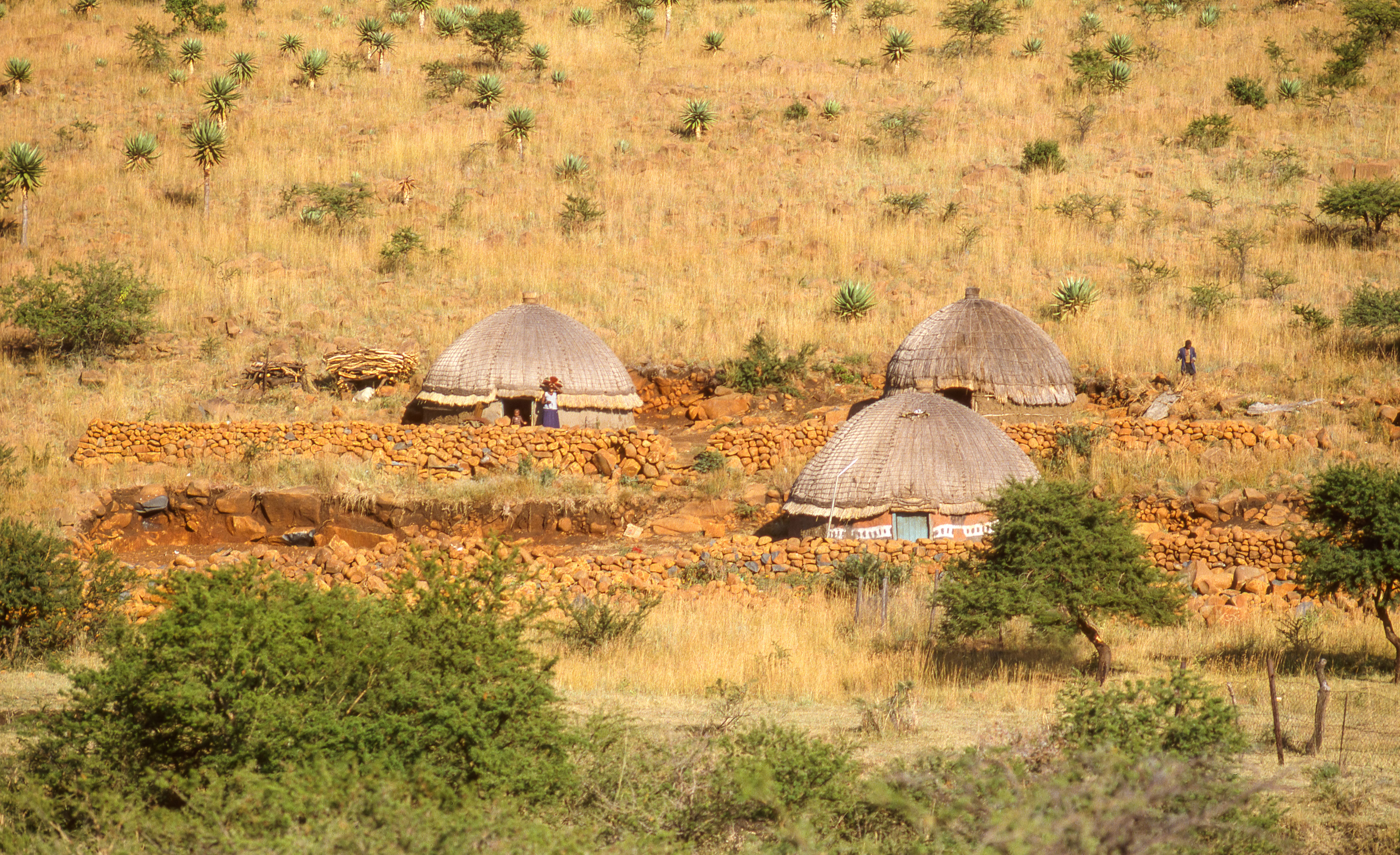 Safari Culturel Maasaï & Lac Natron